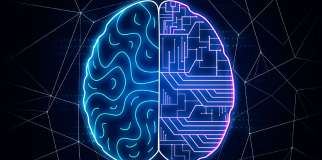 AI & Machine Learning – Build intelligent systems